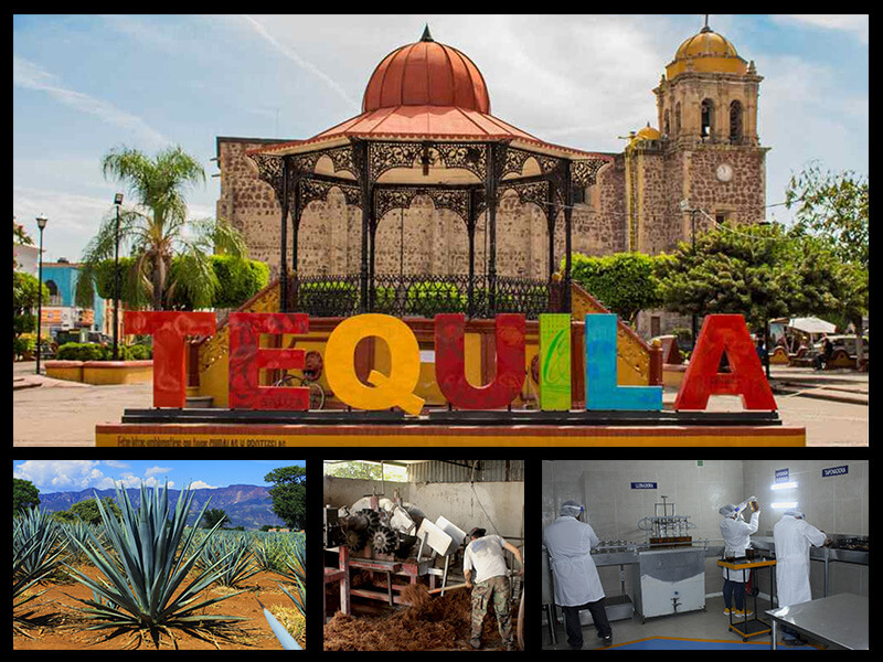 tour tequila jalisco deja tus datos